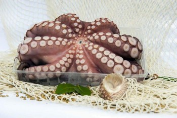 PULPO PLANCHA N.1