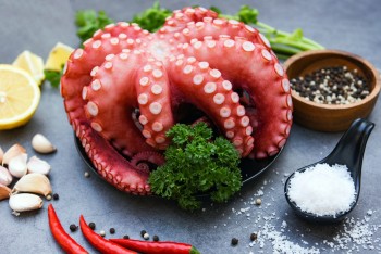 PULPO